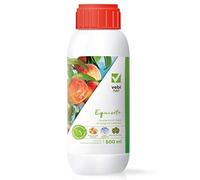 Equiseto Vebi in difesa da peronospora oidio bolla del pesco alternaria septoria
