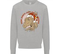Equitazione Caro Babbo Natale Divertente Cavallo Natale Bambini Felpa Maglione