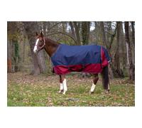 EQUITHEME Tyrex 1200D Turnout Rug