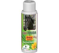EQUITRAUMA 250ML