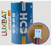 ER34615 + MOLEX EVE Battery Batteria al Litio 3,6V 19Ah con connettore Molex