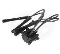 ERA Bobina Accensione Modulo per Renault Clio III 1.2 16V Twingo II 0.9 Tce