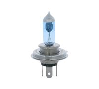 ERA E113XE-1C Lampadina, faro di profondità