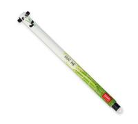 Erasable gel pen - panda- extraordinary stationery
