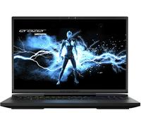 ERAZER Beast X40 Notebook Gaming, 17 ", processore Intel® Core I9 14900HX, NVIDIA GeForce RTX™ 4080, RAM 32 GB, 1000 GB SSD, Nero siderale, Windows 11 Home