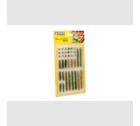 Erba a ciuffi noch - Art. Noch 07125