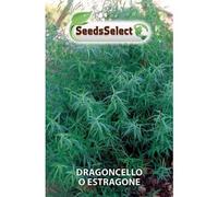 Erba Aromatiche,Dragoncello,Estragone,Artemisia Semi 2 Buste MAXI