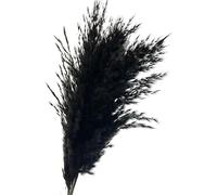 Erba artificiale di Pampas, Bouquet Di Fiori Secchi Con Code Erba Pampa E Canna Multicolor Confezione Da 5-30 Pezzi(Pampas Grass Pink,10 pcs a lot)