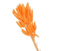 Erba artificiale di Pampas, Bunny Tail Pampas Erba essiccata Bouquet da sposa Oggetti di scena natalizi Multicolor 60-120 pezzi(Orange,100pcs)