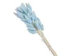 Erba artificiale di Pampas, Multicolor Pampas Bunny Tails Fiori secchi 60 o 80 pezzi Decorazioni for la casa fai da te di Natale nozze(Sky Blue,60pcs)