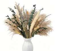 Erba di Pampa 100 Pezzi,Fiori Secchi Decorativi,Fiori Secchi Naturali,Fiori Secchi Decorativi per Vaso,Erba Della Pampas Decorative,Decorazione Tavolo,Decorazione Soggiorno,Decorazioni Boho