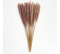 Erba di pampa secca, set da 40 pezzi, 50 cm, fiori secchi come decorazione da tavolo boho