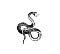 Erba di serpente in Europa e negli Stati Uniti adesivi per tatuaggi semipermanenti impermeabili personalizzati senso senior della marea braccio di fiori per uomini e donne fantastici