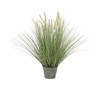 Erba Ornamentale Artificiale EUROPALMS da 70 cm con Fogliame Verde Realistico