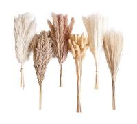 Erba Pampa essiccata decorativa ed erba coda di coniglio per interni moderni
