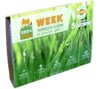 ERBA PIU Erba Più Week Kit di Semina 1PZ