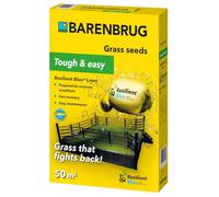 Erba resistente Barenbrug Resilient Blue Prato, 1 kg Semi di erba universali