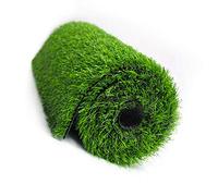 Erba Sintetica per Esterno, 100 cm * 200 cm Tappeto per esterni Artificail erba per patii, tappetino sintetico tappeto da vista per cani Area per animali domestici Indoor Paesaggio Decorazione Erbetta