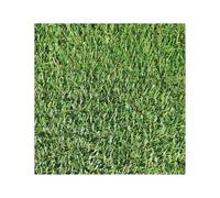 Erba Sintetica per Esterno - Galeone | Filamenti 18-28 mm - Prato Sintetico da Esterno Realistico - Alta Resa Visiva | Resistente - Base Drenante Microforata - Protezione UV | Comfort al Tatto