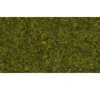 Erba statica Prato 4 mm