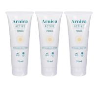 Erba Vita Arnica Active Pomata 3x75 ml Pomata