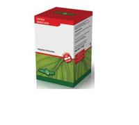 Erba Vita Betulla Integratore Drenante 60 Capsule