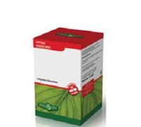 BOSWELLIA SERRATA 60CPS 400MG