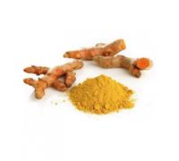 Erba Vita CURCUMA POLVERE 100 G