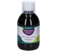 Erba Vita Depuratum Concentrato Soluzione Orale 250 ml Soluzione orale