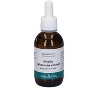 Erba Vita Gemmoderivato Betulla Pubescens 50 ml Soluzione orale