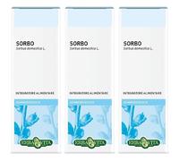 Erba Vita Gemmoderivato Sorbo 3x50 ml Soluzione orale