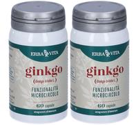 ERBA VITA Ginkgo 2x30 g Capsule
