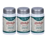 ERBA VITA Ginkgo 3x30 g Capsule