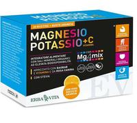 Erba Vita - Magnesio e Potassio + Vitamina C Gusto Arancia Confezione 20 Bustine