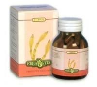 Erba Vita Melissa Integratore Digestivo 60 Capsule 400 Mg