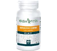 OLIO DI GERME DI GRANO 90 PERLE