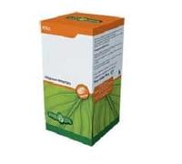 Erba Vita – Olio di Ribes Integratore Omega 6 673 mg – 60 perle