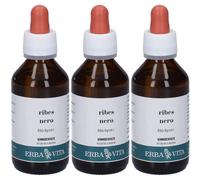 Erba Vita Ribes Nero Gemmoderivato 3x100 ml Soluzione orale