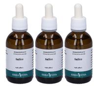 Erba Vita Salice Gemmoderivato 3x50 ml