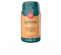 Erba Vita Spirea Ulmaria Integratore Articolare 60 Capsule