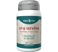 UVA URSINA 60 CAPSULE