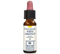 Erba Vita WHITE CHESTNUT ORIGINAL 10 ML