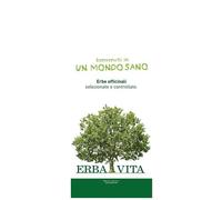 Erba Vita ZENZERO POLVERE RIZOMA 100 G