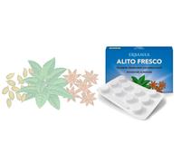 Alito Fresco 30 Tavolette Masticabili Blister