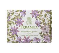 Erbamea Benessere da Gustare Cofanetto Regalo con Infusi, 36 bustine