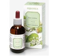 Erbamea ERISIMO SOMMITA' FIORITE ESTRATTO IDROALCOLICO 50 ML