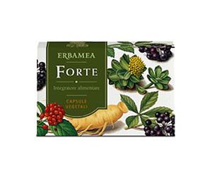 Erbamea Integratore Alimentare Forte Ginseng, Eleuterococco, Rhodiola, 24 Capsule Da 480 Mg Color Standard