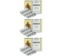 Erbamea Magnesio Capsule 3x24 pz Capsule