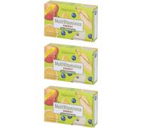 Erbamea Multivitaminico Energia Con Coenzima Q10 Compresse 3x12,6 g Co