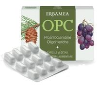 OPC 24CPS VEG S/GL 500MG ERBAMEA